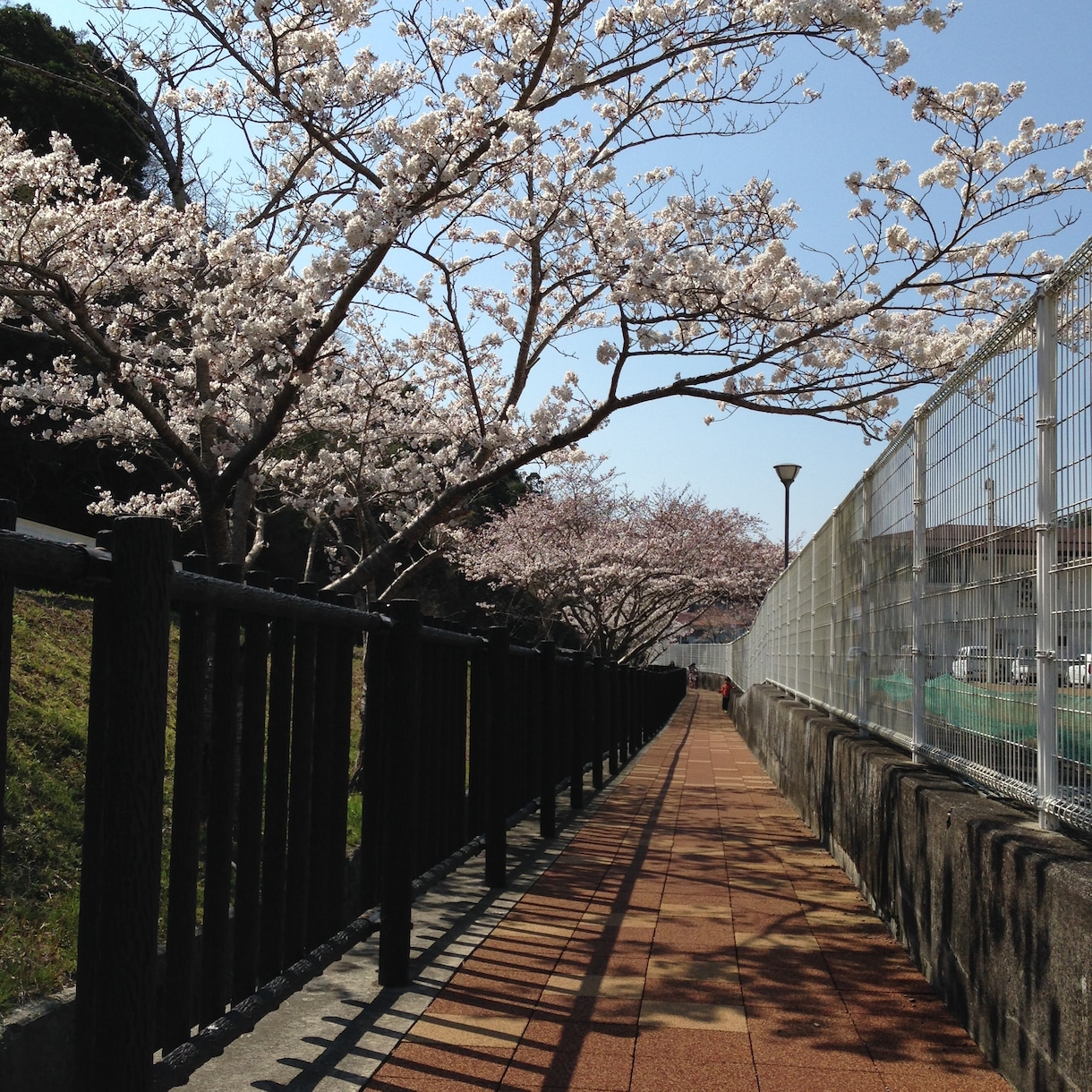 誠意を持って★三日間★トークルームでお相手します 愚痴を吐きたい方！寂しいから話し相手が欲しい方！ イメージ2