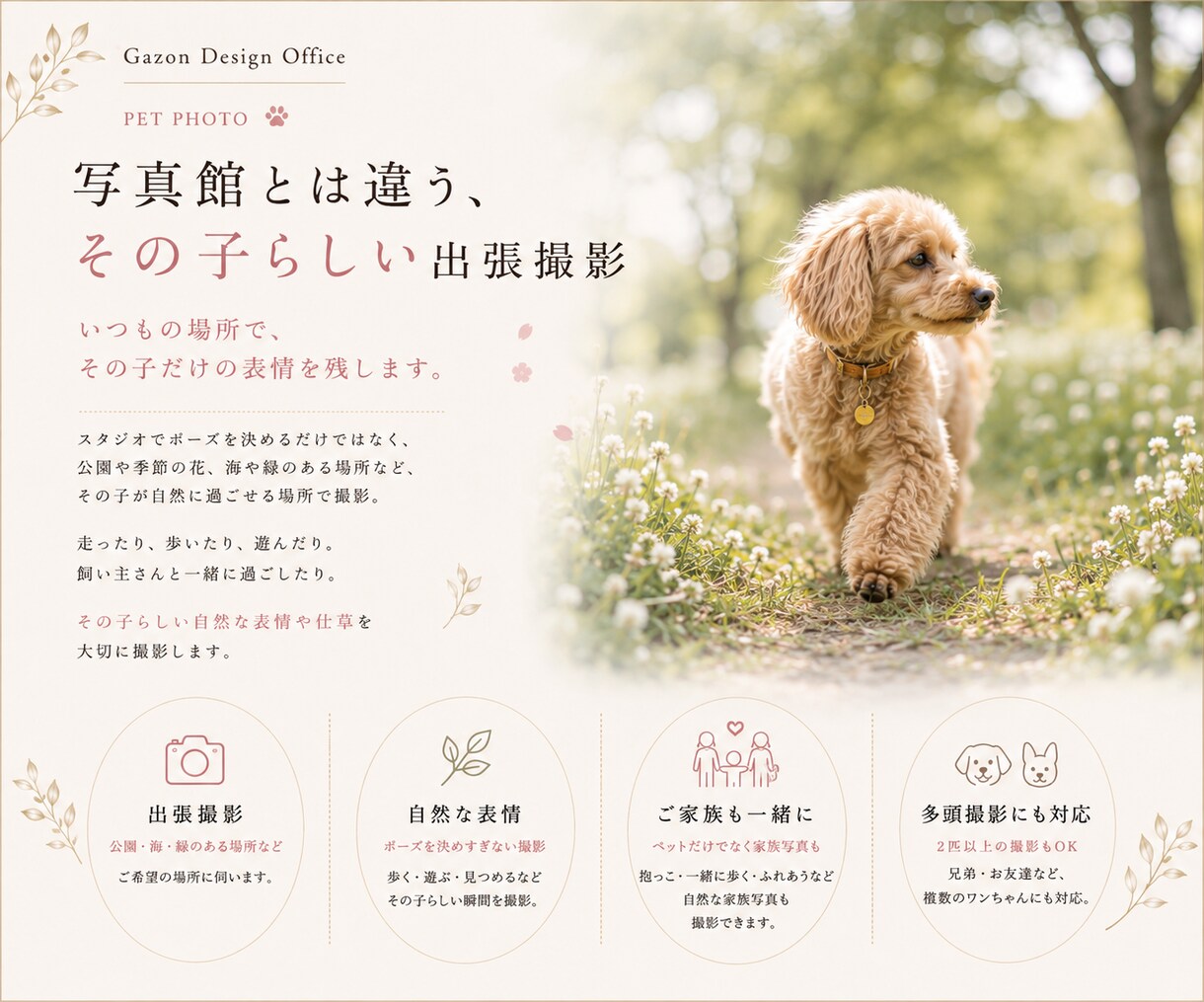 ペット撮影で大切な家族との思い出を写真に残します 犬・猫・小動物・鳥・爬虫類など幅広く対応します。 イメージ9