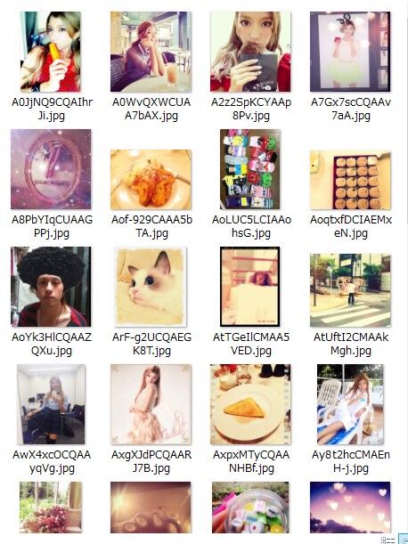 Twitterの画像を一括DLする方法教えます 指定したユーザーの画像を一括ダウンロード!! イメージ1