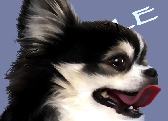 大切なご家族であるペットを描きます 亡くなられてもまだ色褪せない思い出のペットを絵にします。 イメージ2