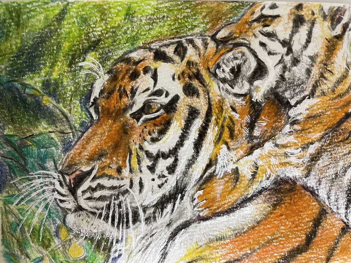 年賀状にも！色鉛筆で動物の絵を描きます 世界でたった一つだけ！動物の可愛い表情を生き生きと描きます イメージ3