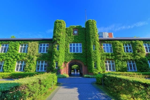 最新年度受験を踏まえて総合型選抜の相談乗ります 難関大の最新の総合型選抜を知ろう！！ イメージ1