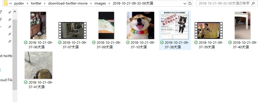 Twitterの動画一括自動収集ツール作成します PCで動く！簡単操作で一括動画大量収集 イメージ3