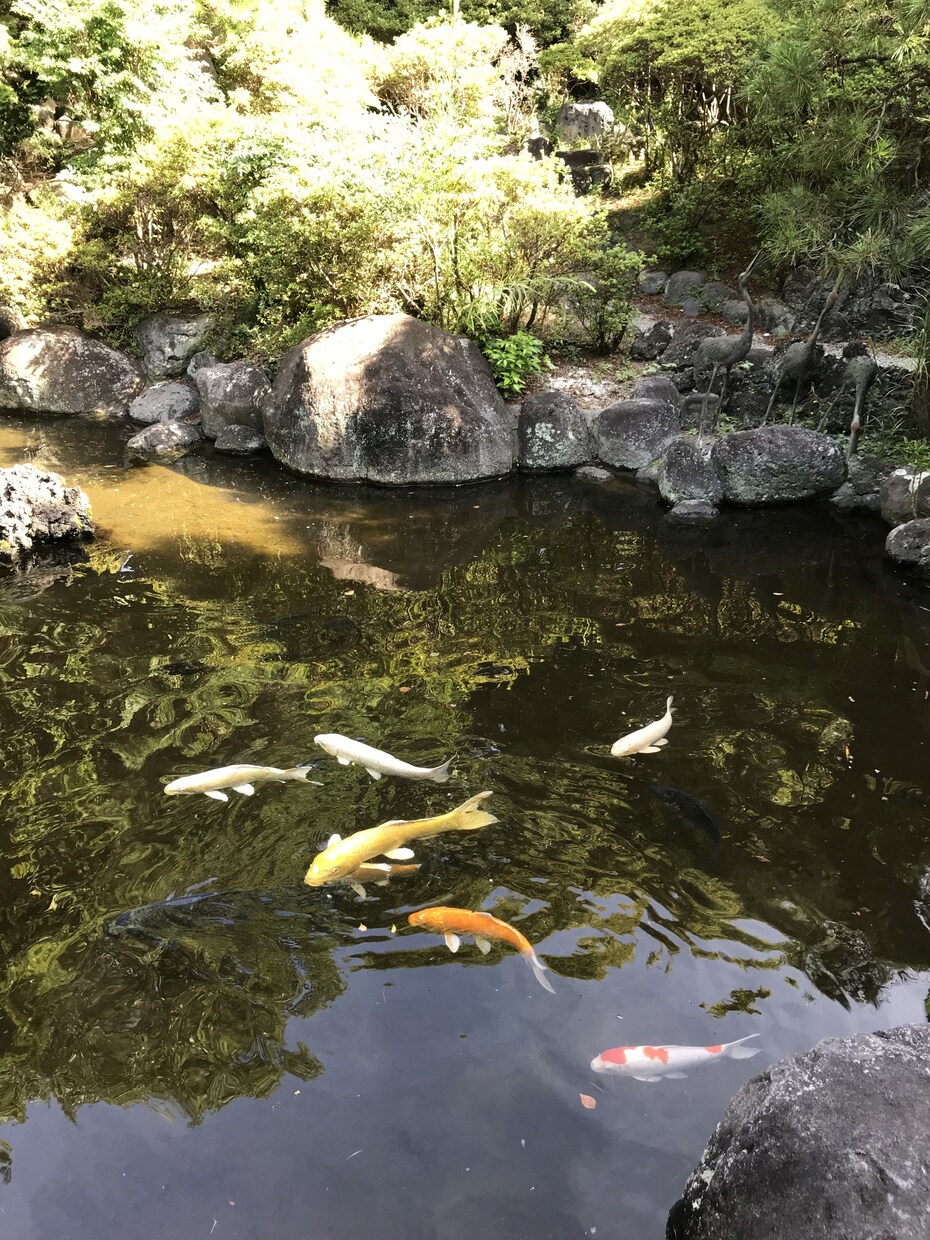 離婚したい..熟年離婚を経験した私が相談にのります 「この結婚は失敗だったかも？」と思っていたら一緒に考えよう！ イメージ7