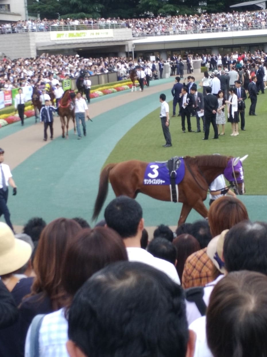 地方競馬の予想致します 予想が当たらない又は自信がない方向け イメージ1