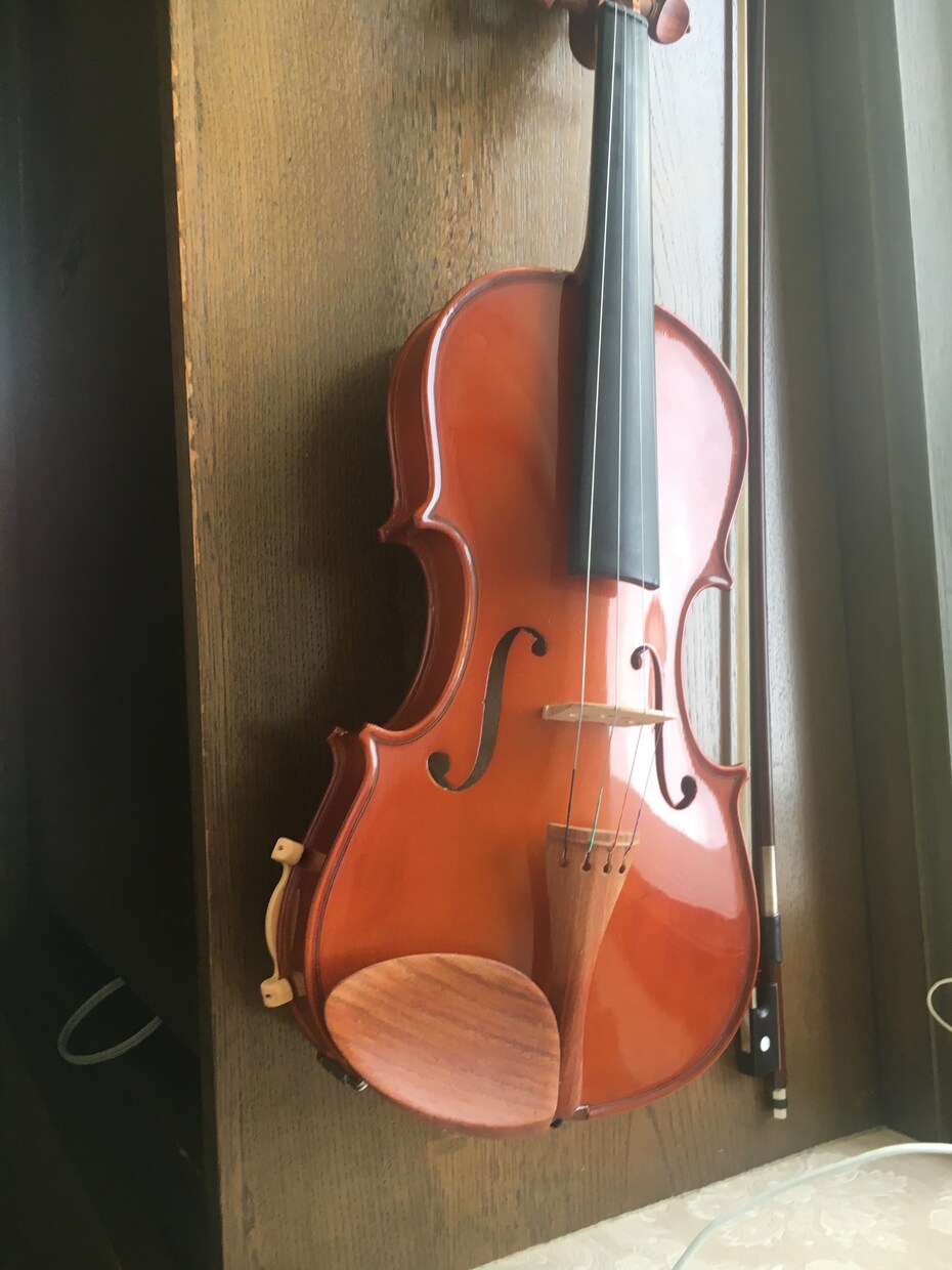 オリジナル曲をバイオリンで演奏し、提供します あなただけのオリジナル曲をどうぞ☆ イメージ1