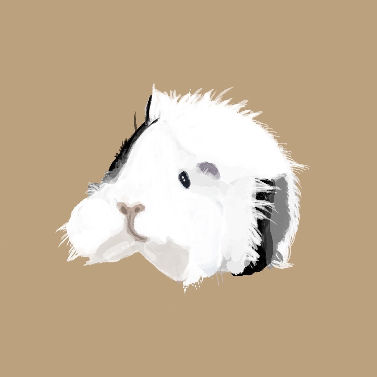 あなたの大切な家族を、イラストに仕上げます 今日のかわいいをイラストにします。 イメージ3