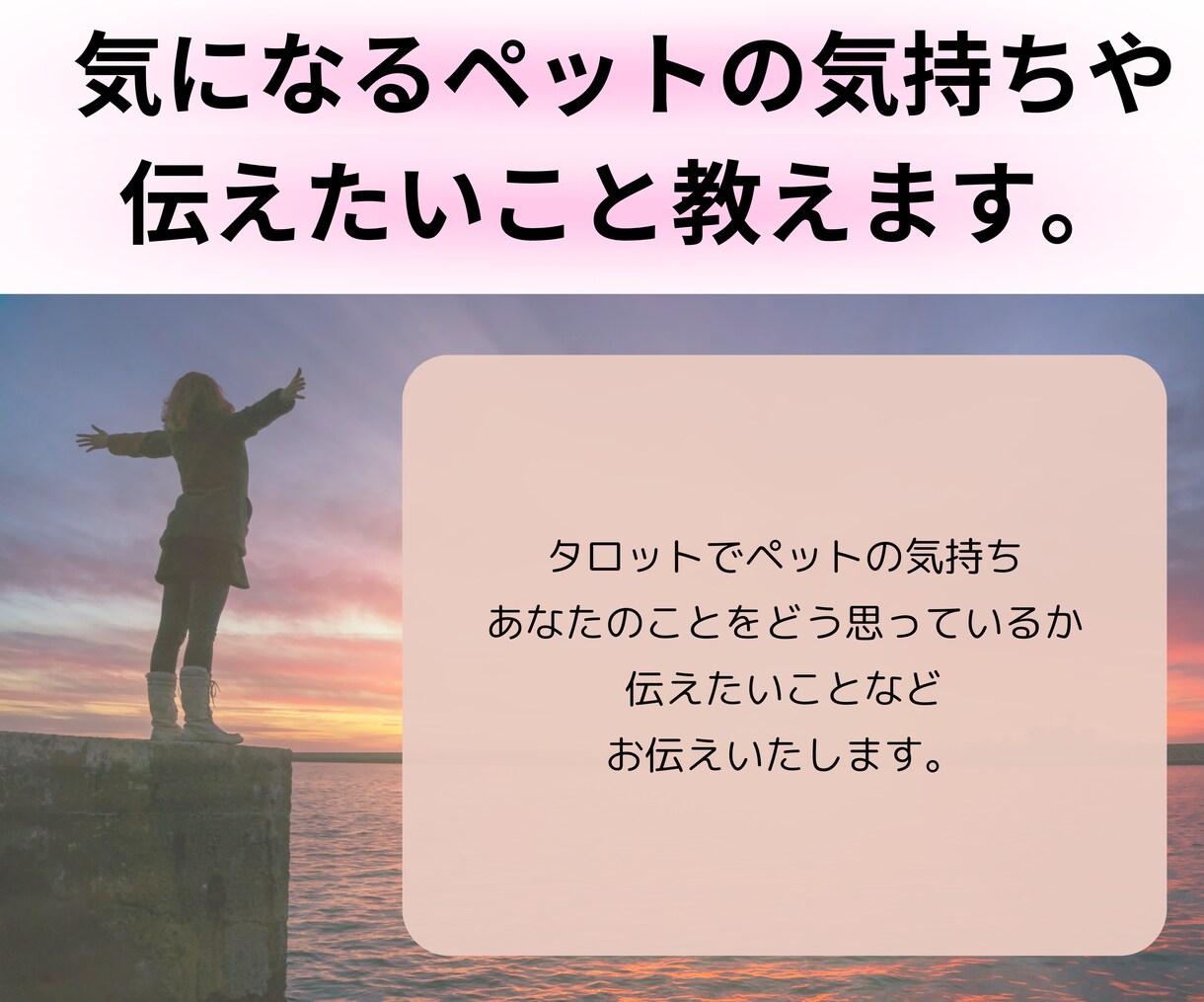 あなたに伝えたい、ペットの気持ち教えます ※あの子はどう思ってる？どうして欲しい？タロットでお伝え イメージ3