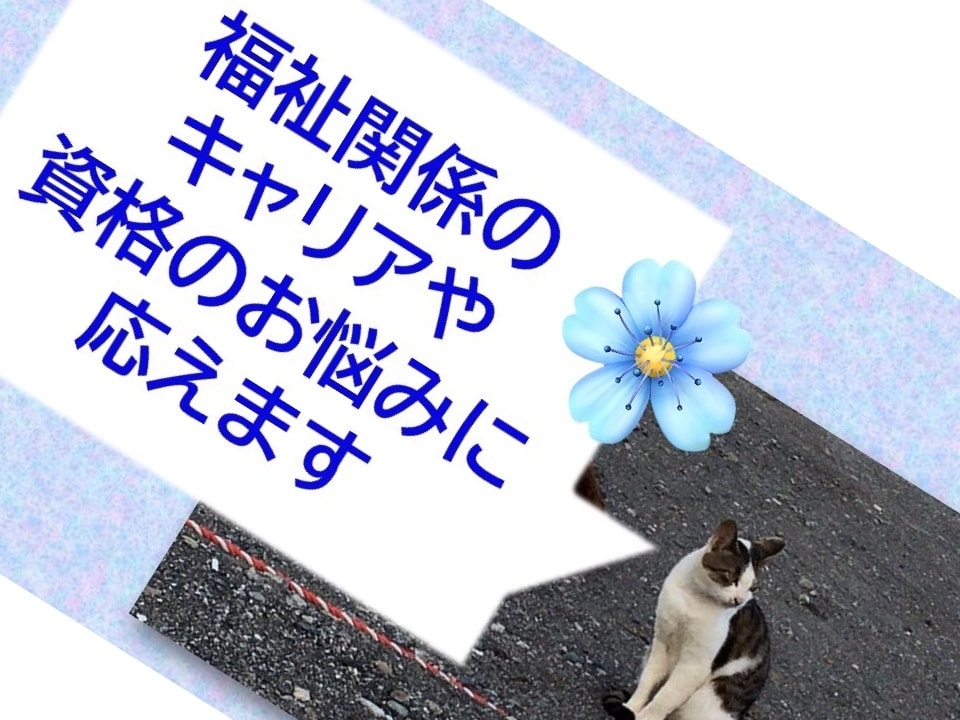 福祉関係のキャリアや資格のお悩みに応えます 社会福祉士が福祉のキャリアアップに関するご相談に応えます。 イメージ2