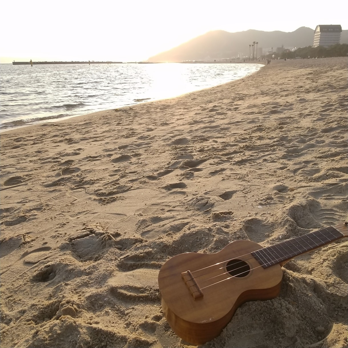 ４回でウクレレ弾き語りご希望の曲をレッスンします ４回のレッスンで人前で自信をもって弾き語れる練習をします。 イメージ2