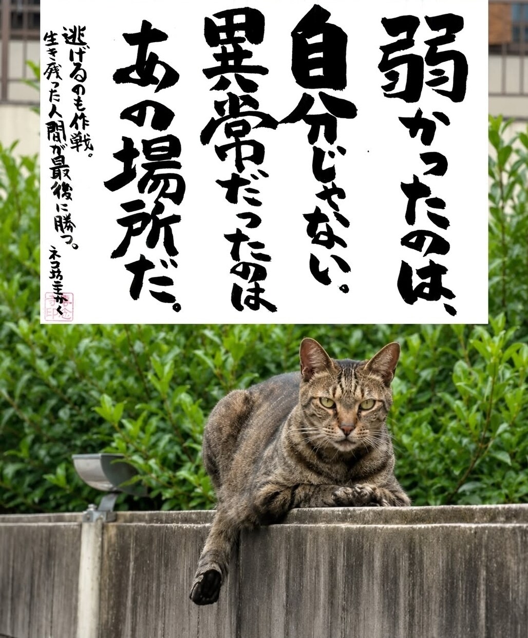 3日間で気持ちの整理お手伝いします 気持ちを文字にしてみませんか？冷静に一つ一つクリアに出来ます イメージ1