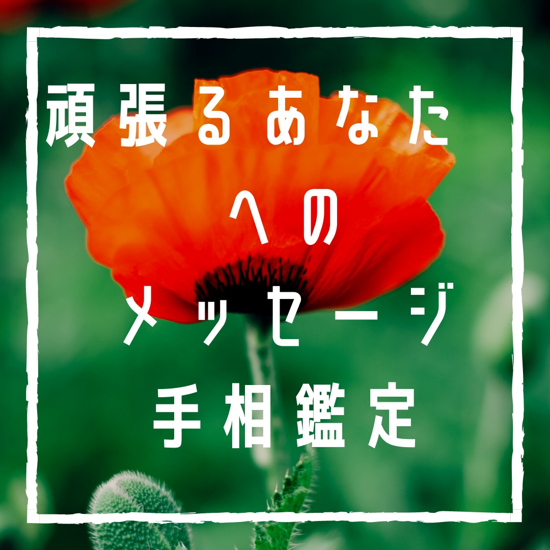 手相鑑定であなたの可能性をお伝えします 約2000人の鑑定実績からあらゆる人を開運に導きます。 イメージ1