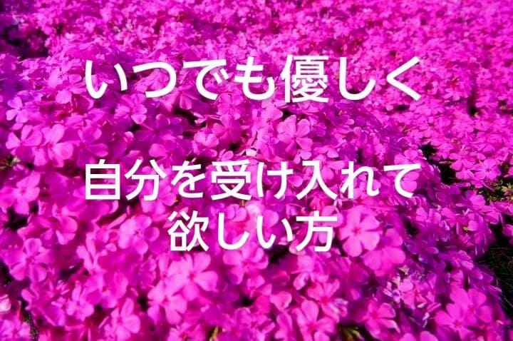 30分集中チャット★傾聴　共感力で笑顔にします リピーターさん近況報告♡仕事　恋愛　育児　介護　老若男女OK イメージ2
