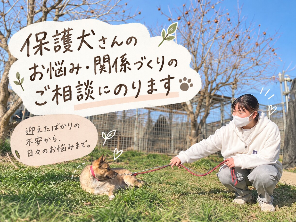 保護犬さんのお悩み・関係づくりのご相談にのります 迎えたばかりの不安から、日々のお悩みまで。 イメージ1