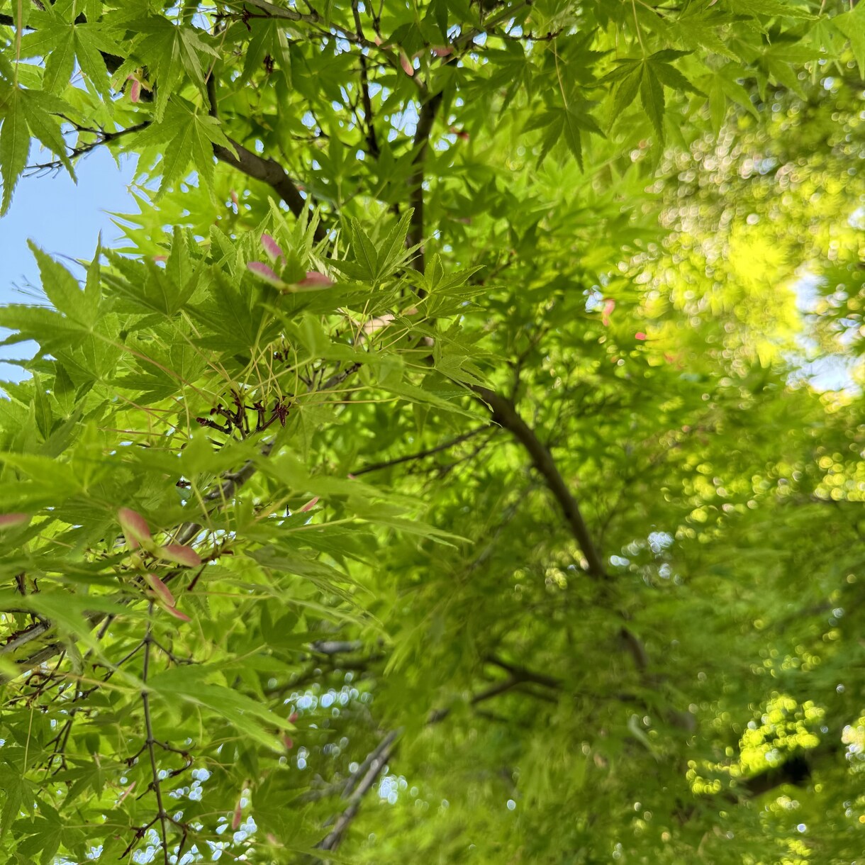 ガス抜きに！大抵のことには驚かずにお聞きできます 起業、借金、不倫、愚痴…見ず知らずだからこそ遠慮なく！ イメージ1