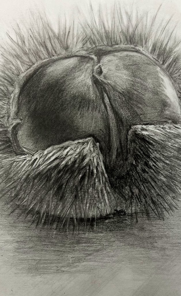 比較的安く尖った一枚絵をお描きします 一線を画すようなイラストをお任せください！✴︎ イメージ7