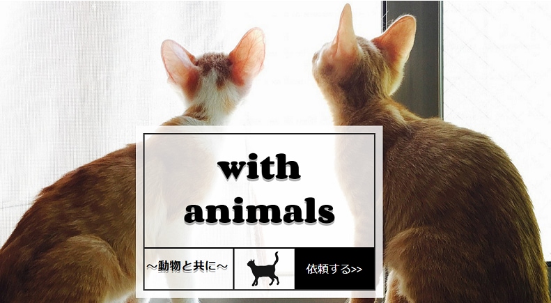 家族(ペット)だからこそ、心を通わせたい！伝えます 大切なペットの気持ちを聞いてみませんか？ イメージ1