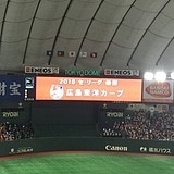 広島弁翻訳&方言指導します 広島生まれ、広島育ちの広島男児です イメージ1