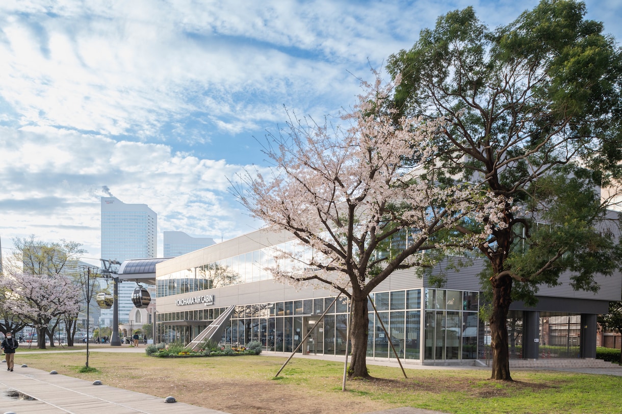 建築写真・竣工写真（内観・外観）撮影をいたします 戸建て、店舗、施設等の建築物の内外観撮影（専用機材使用） イメージ2