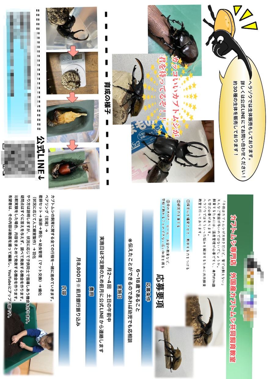 可愛いステキな配布用チラシ、広告お作りします 街頭で配るチラシ/印刷して配布出来るチラシを作ります。 イメージ8
