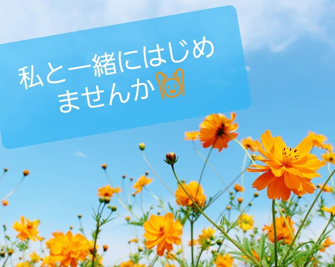 構築しよう！不労所得○○○で本当に実現します 嘘のような本当の話！あなたの今は幸せですか？ イメージ1