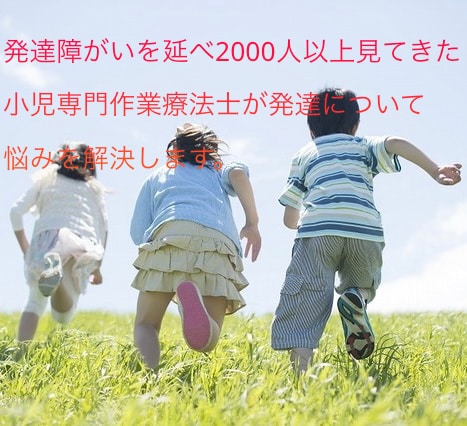 ネットより確かなお家で今日からできる発達支援します 「なぜ？」が分かれば育児が変わる現役OTの医学的発達サポート イメージ1