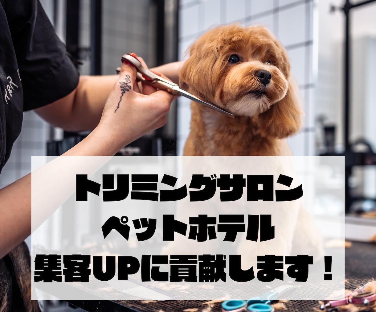 トリミングサロンの経営、相談にのります 【路面店で月400頭以上の実績】SNSやLINEの活用なども イメージ1