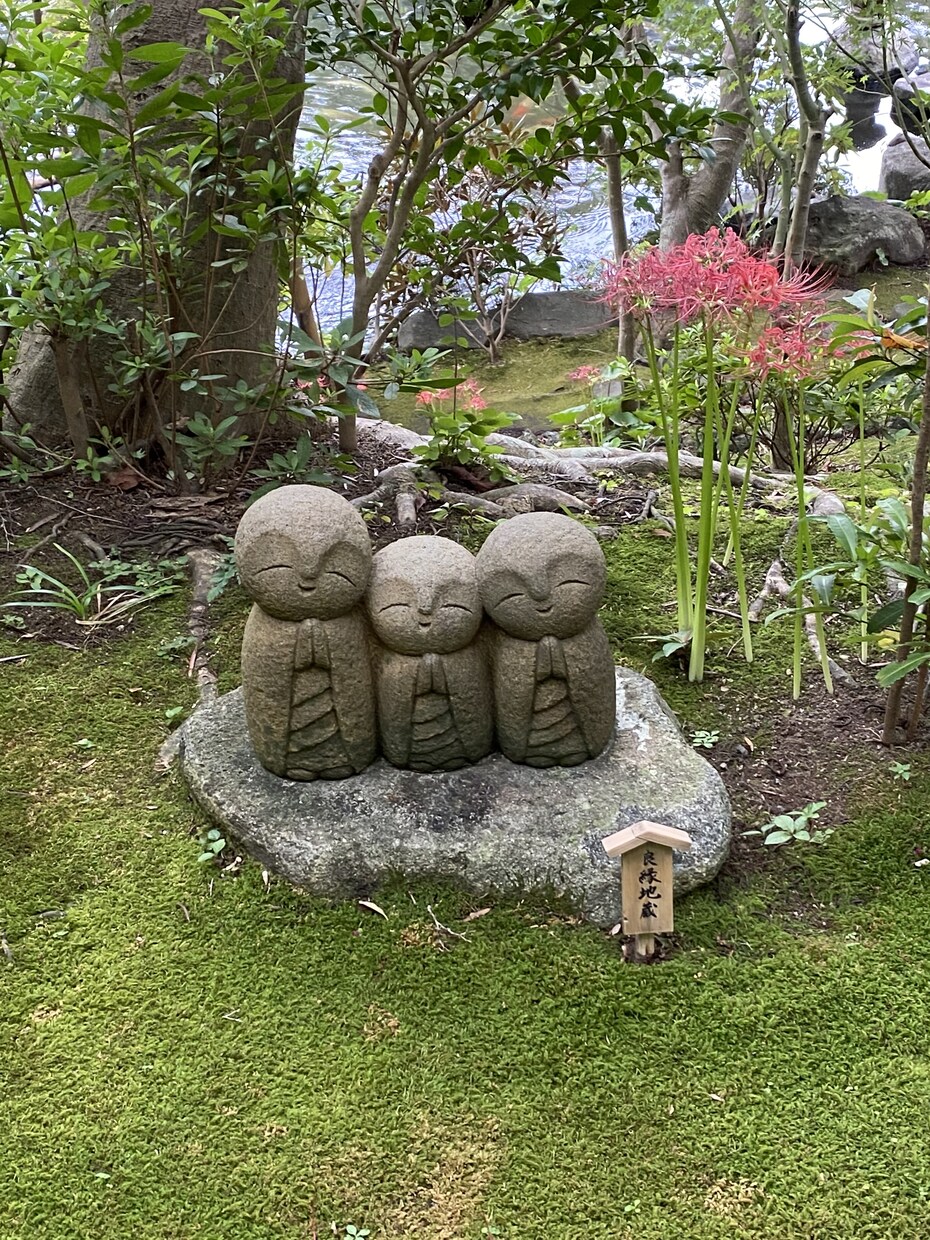 気になるお相手との相性を占います 相性を知り、より良い未来を創造しましょう！ イメージ1