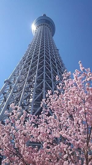アセンションに伴った親孝行と先祖供養お教えします 真の親孝行、先祖供養したい方にオススメです。 イメージ1