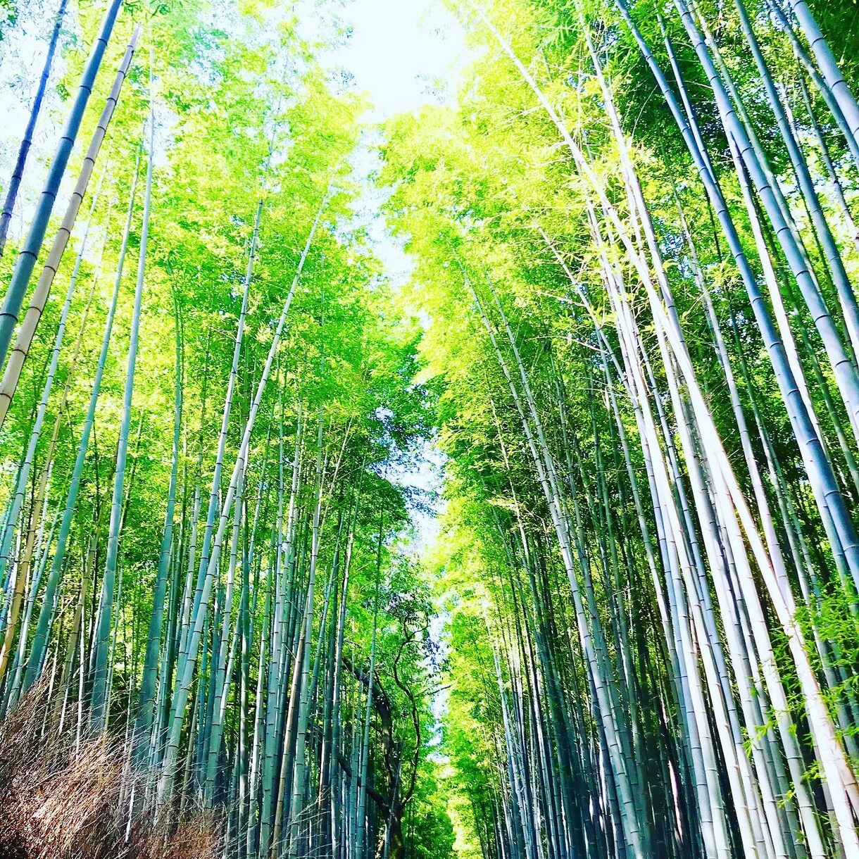 旅行・デートプランを立てるお手伝いを一緒にします 一生に一度のその日を共に味わいましょう。最高の1日を！！！ イメージ1