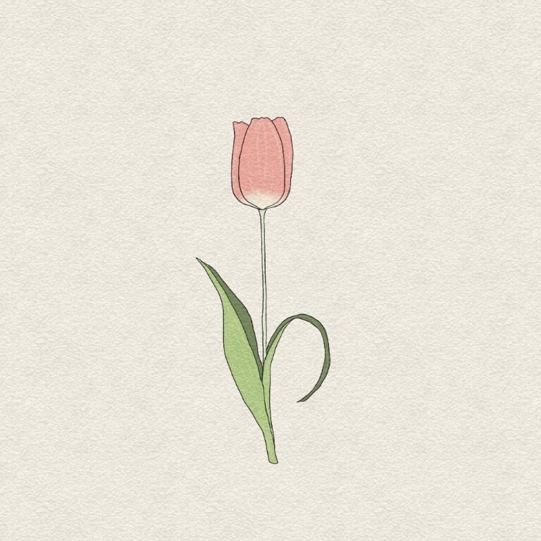 似顔絵、アイコン、ロゴ、壁紙、描きます 世界にひとつのイラスト、お描きします☺︎ イメージ6