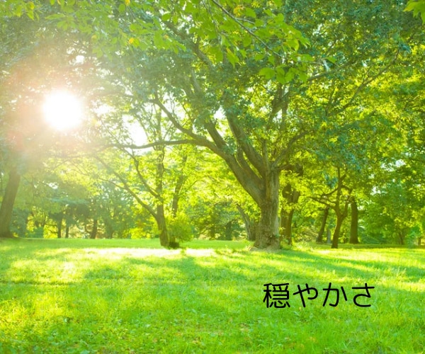 電話ヒーリング✨沈黙集中✨時間の長さ選べます 3分でも30分でも✨電話でヒーリング✨波動上昇で高波動を体感 イメージ2