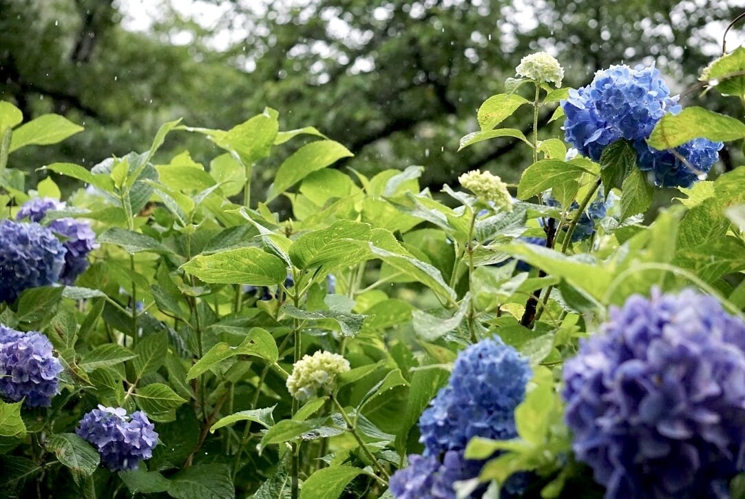 ご希望に添ったお写真をお届けします ご希望に添ったお写真をご提供させて頂きます！！ イメージ3