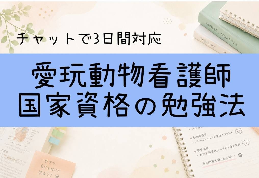 愛玩動物看護師の勉強相談承ります 動物病院勤務10年の経験をもとにお答えします イメージ1