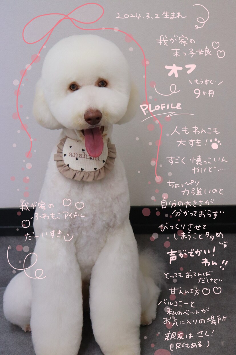 写真に文字入れします その瞬間を忘れないように残します イメージ7