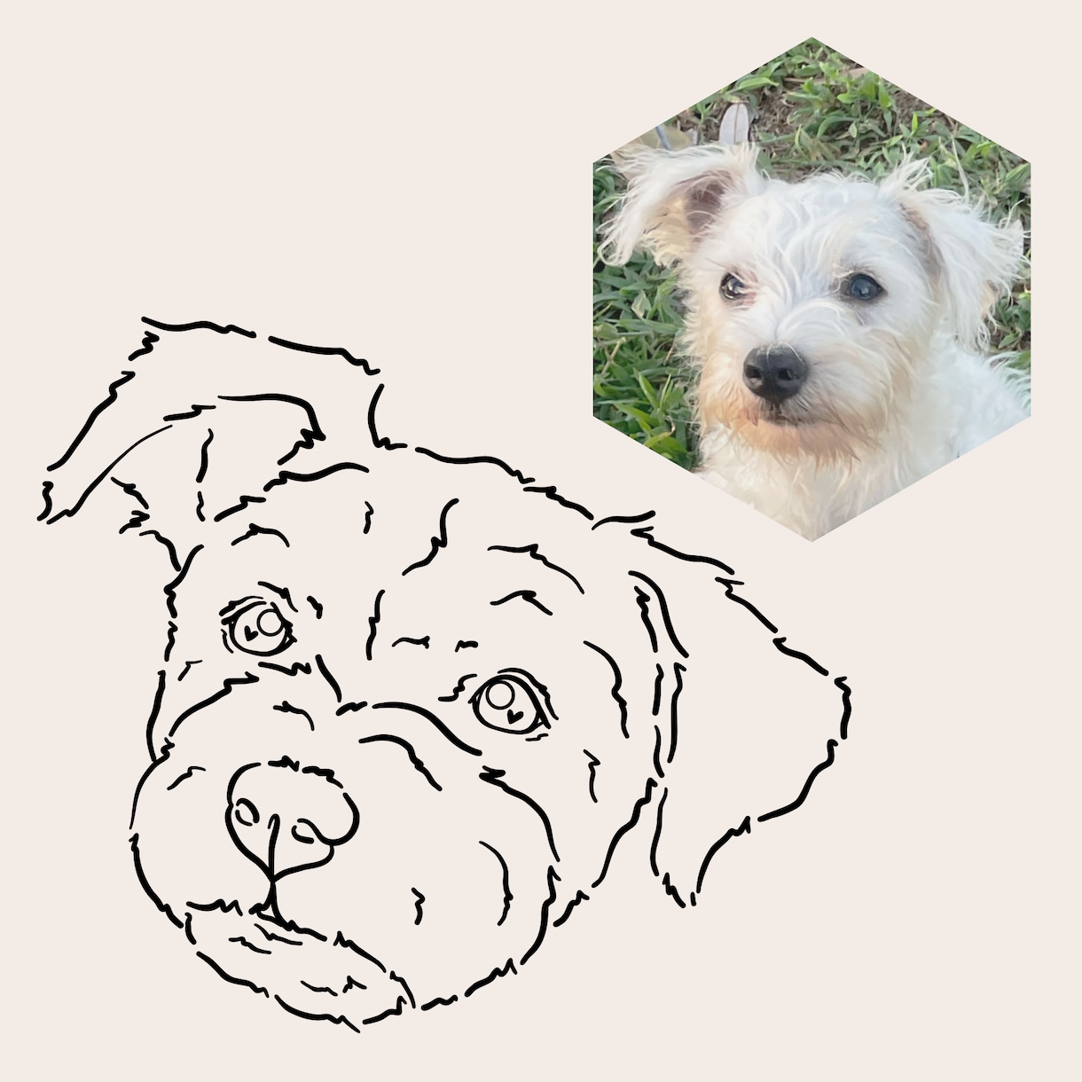 シンプルなペットイラストをお描きします SNSのアイコンやプレゼントに♡ イメージ9