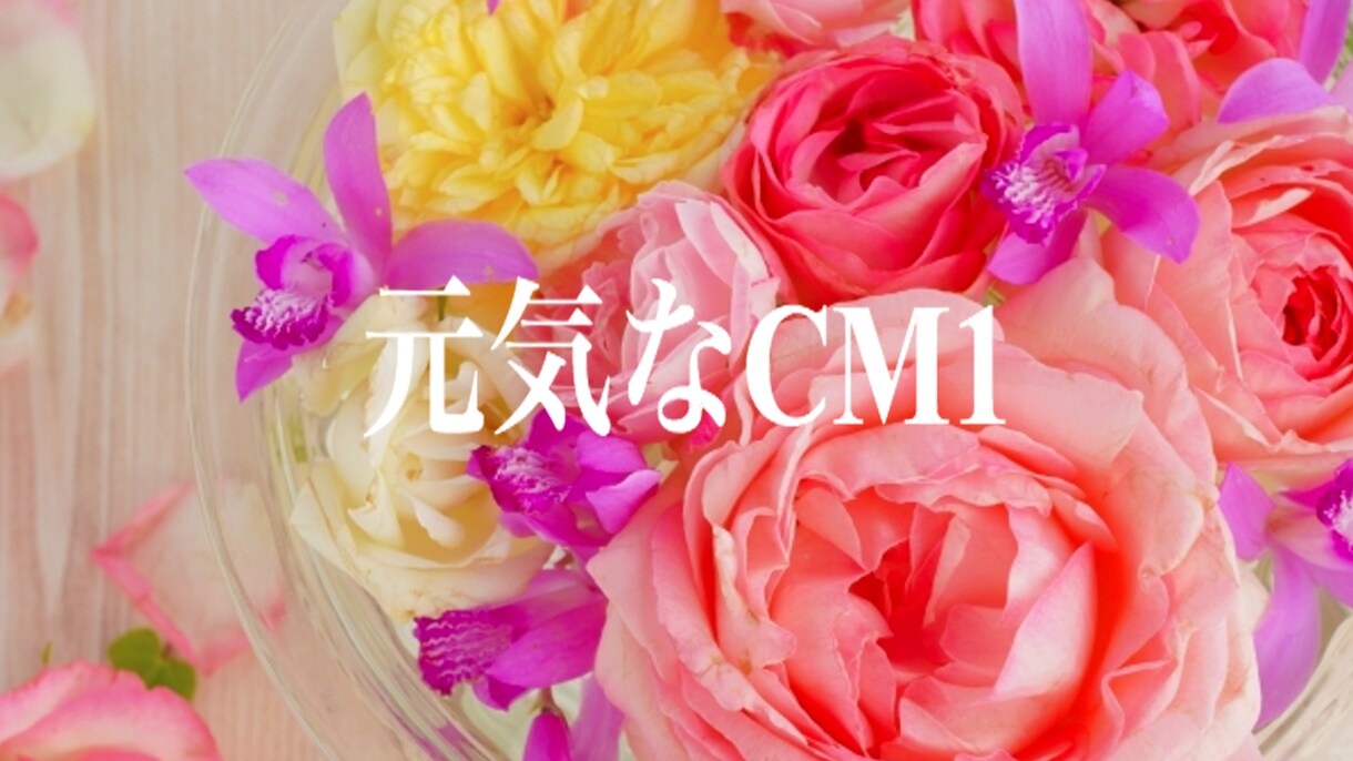 元報道キャスターがナレーションをお届けします /テレビCMの実績/企業VP多数/クセのない聞きやすい読みを イメージ3