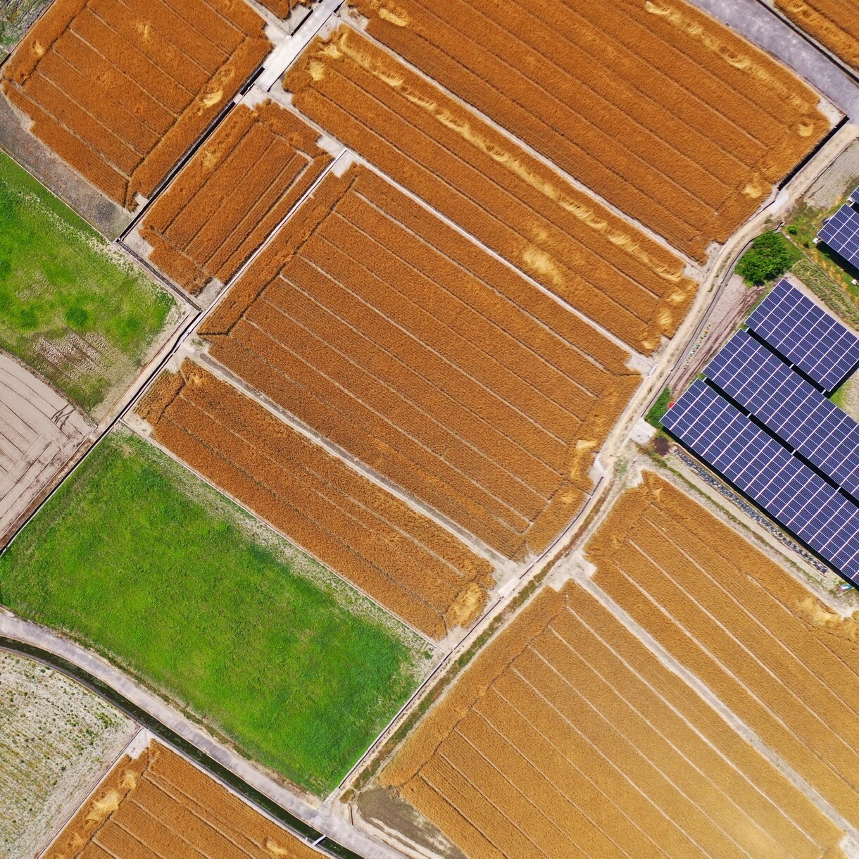 香川県でドローンでの静止画・動画撮影いたします 4K動画まで対応可能。オプションで編集もします。 イメージ3