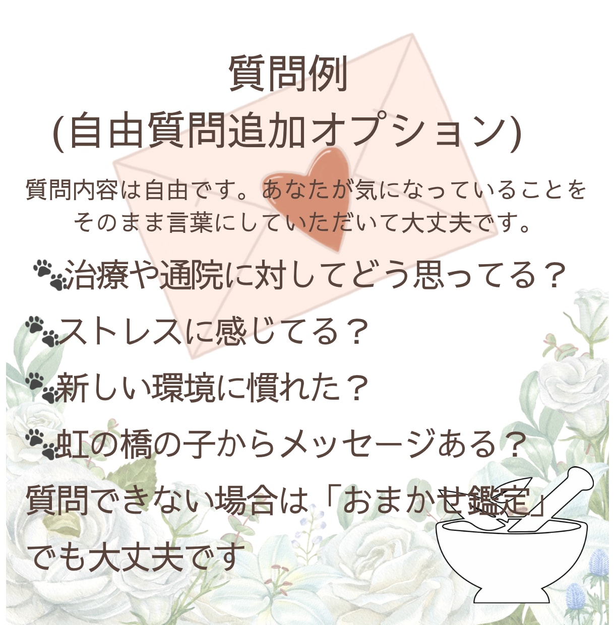 ペットの気持ちをタロットで視ます ※ 生きている子も虹の橋の子も対応。心のケアも丁寧にサポート イメージ5