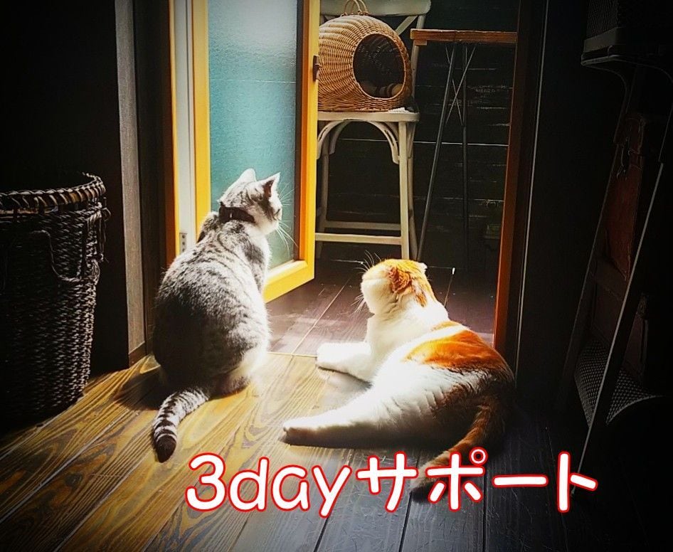 3日間、回数無制限!!お悩み全部お伺いいたします 悩んだら全部吐き出してください、3日間しっかり寄り添います イメージ1