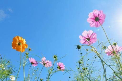 全力応援！あなたの背中を押します 不安があっても大丈夫！どんな時もあなたの味方です♬ イメージ10