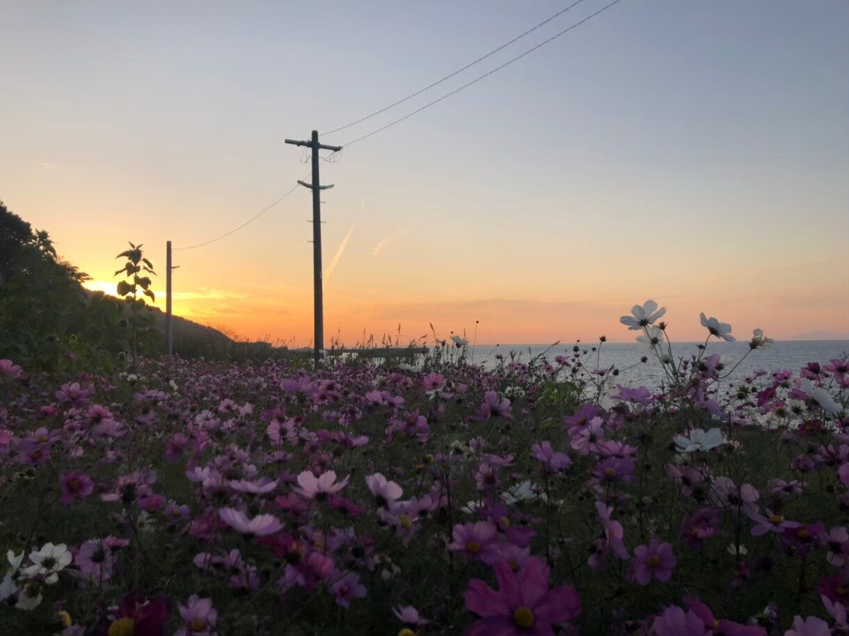 Instagramで使える画像写真提供します Instagramの投稿で使える綺麗な素敵な写真はお任せ！ イメージ9