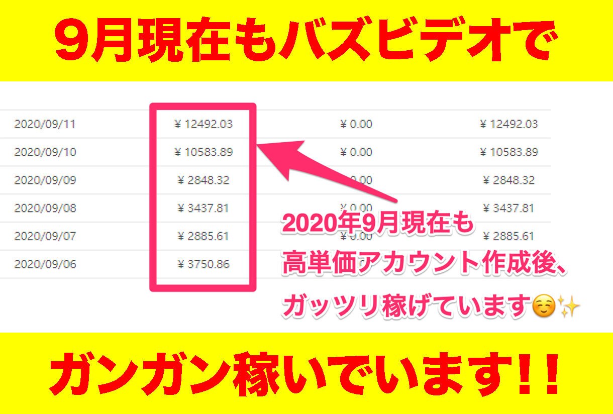 ご注文殺到中！バズビデオ高単価垢を代行します 【今だけプレミア特典】高単価垢作成の方法を丸々完全に教えます イメージ1