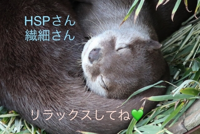 キャパオーバーなHSPさんのお話し聴きます アタマもココロもカラダも疲れ切っているHSPさんと話したい♡ イメージ1