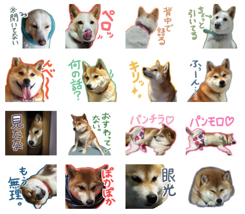 ペットのお写真からLINEスタンプを制作いたします ペットの思い出の写真をLINEスタンプに！(8個~) イメージ2