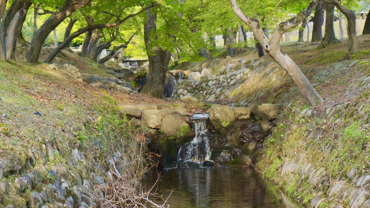 風景、物、などを撮ります 依頼者が満足いく最高の写真を撮らせていただきます！ イメージ3
