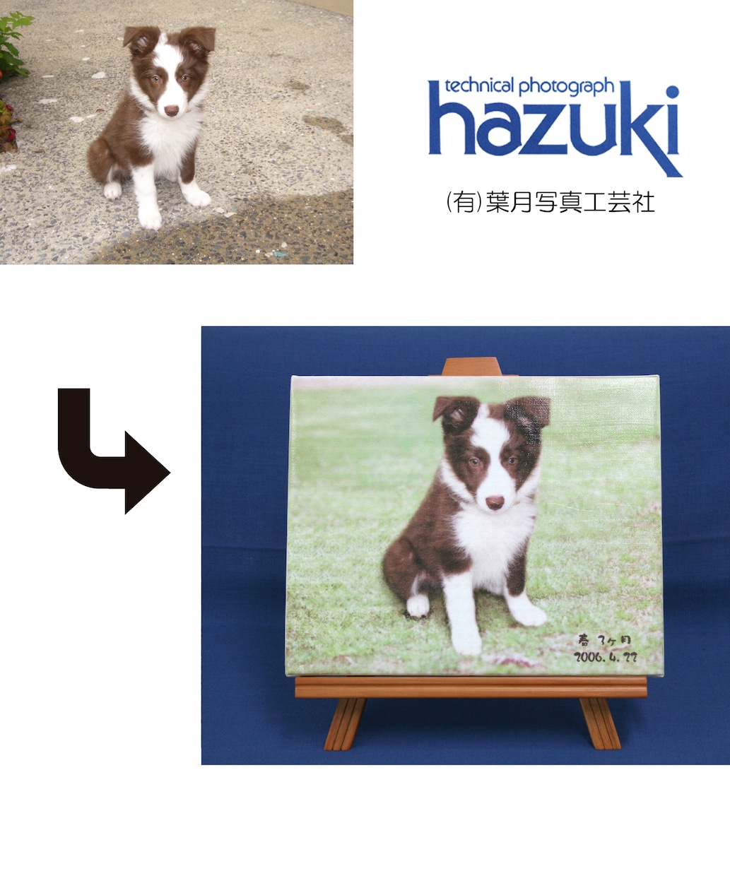 ペットのお写真を油絵風データを作成致します お写真とは違う温かみのある油絵風はいかがでしょうか イメージ10