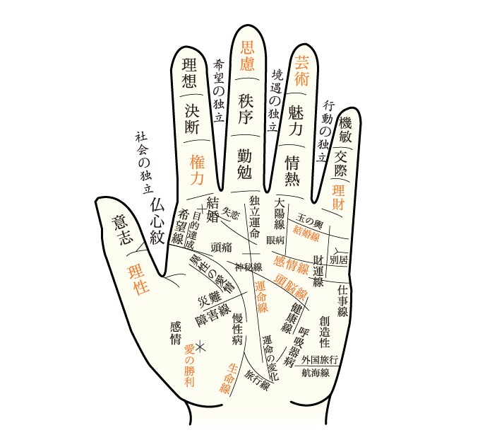 気になるお相手との相性や人生の道標をお伝えします 手相、算命学などから総合的に鑑定致します。 イメージ3