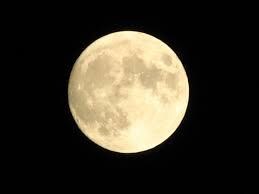 誰かと話をしないと眠れない　そんな時にお相手します 寂しい、悲しい、生きる意味がない、そんな想い受け止めますよ！ イメージ8