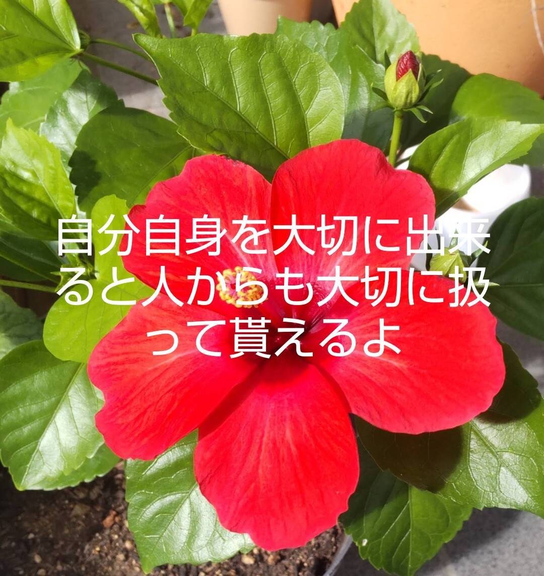 介護福祉士の安心傾聴☆あなたのお話しを聴きます 。心の整理。孤独感に寄り添います♡ イメージ4